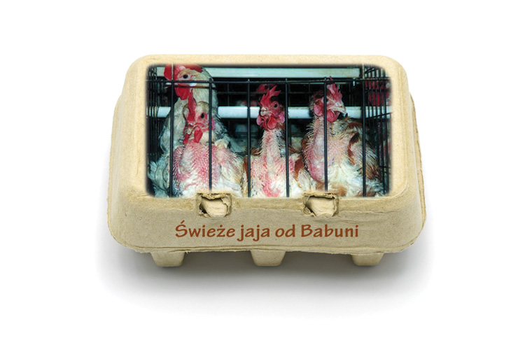 swieze-jaja-babuni